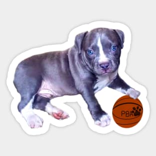 Blue line pit bull dog basket ball player- cute pitbull in the with it’s pitbull basketball association ball Sticker